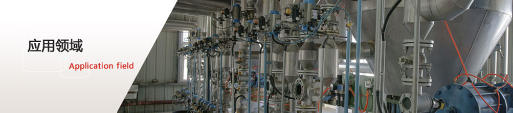 恒盛地產(chǎn)控股有限公司